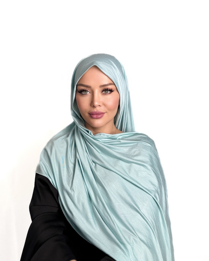 Premium Cotton Jersey - Eisblau